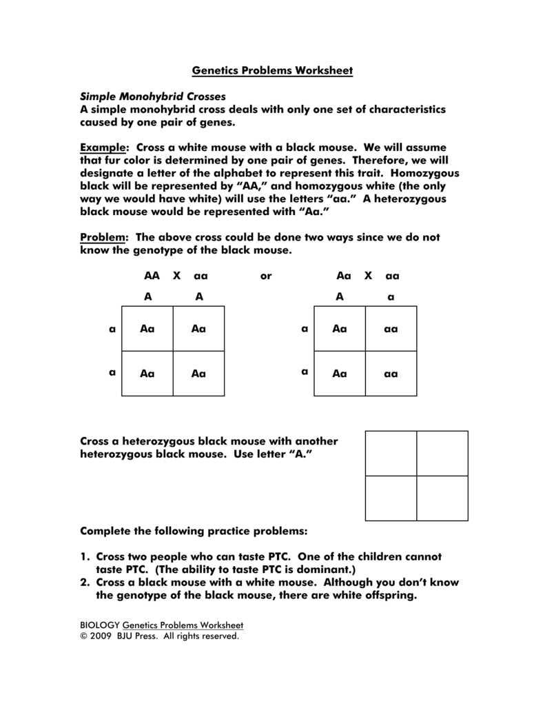 genetics monohybrid cross answer key genetics monohybrid cross answer key