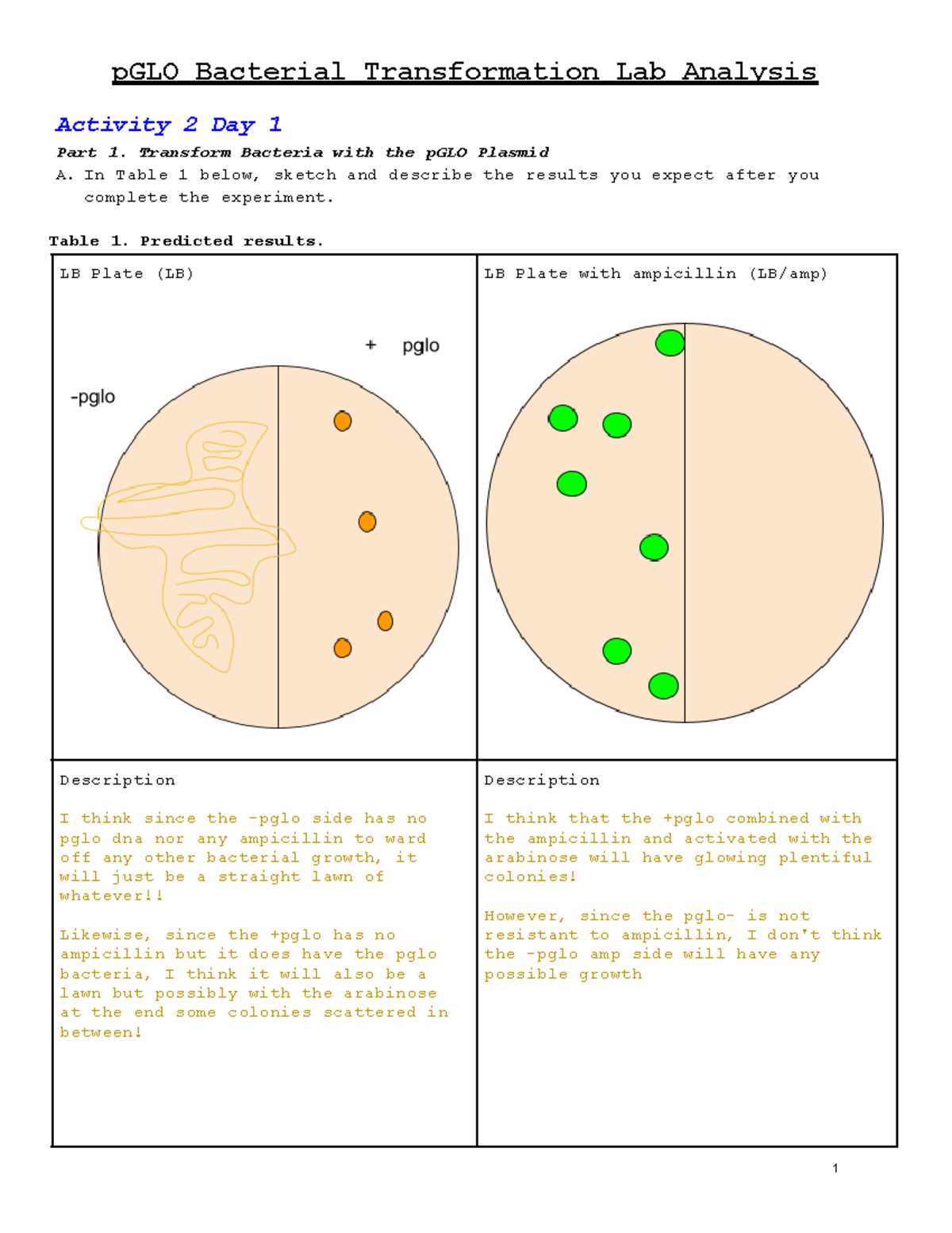 case study bacterial transformation answer key