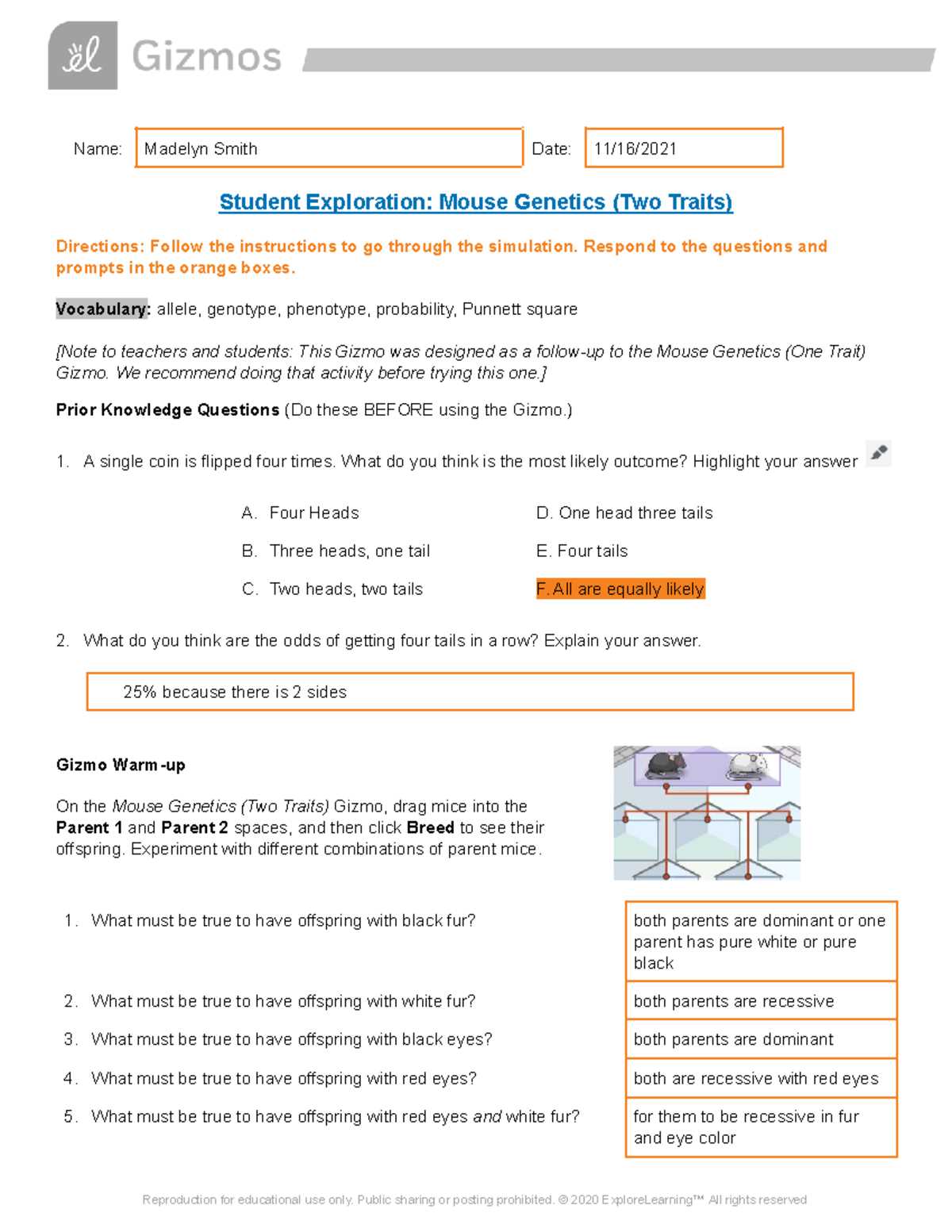 gizmos mouse genetics one trait answer key