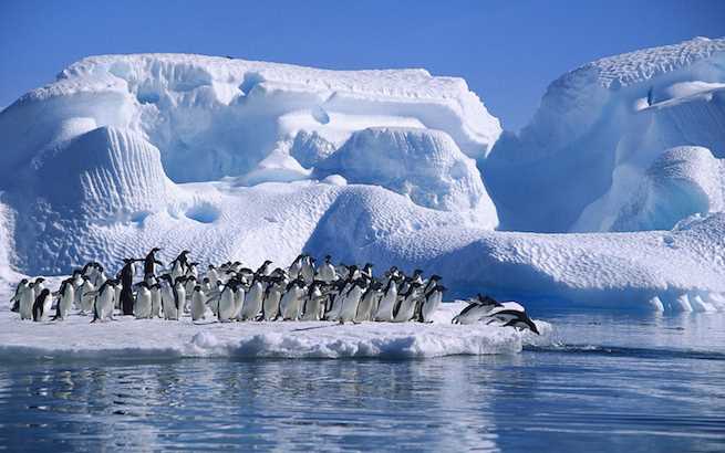 glaciers answer key