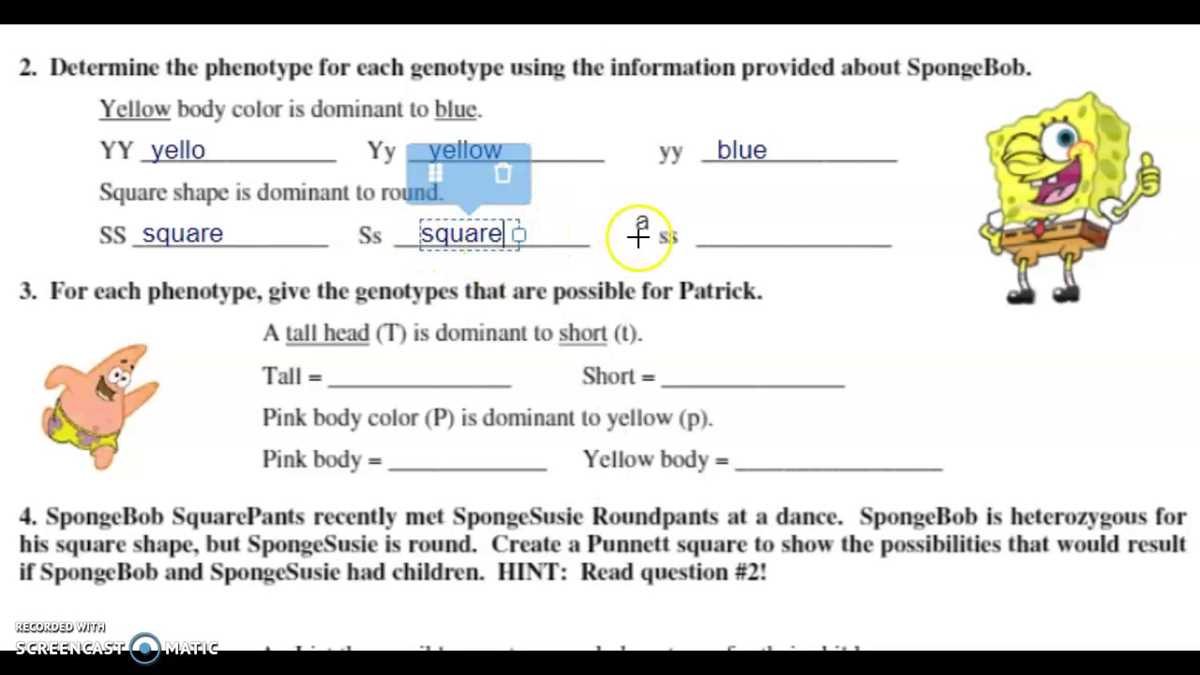 bikini bottom dihybrid practice answer key