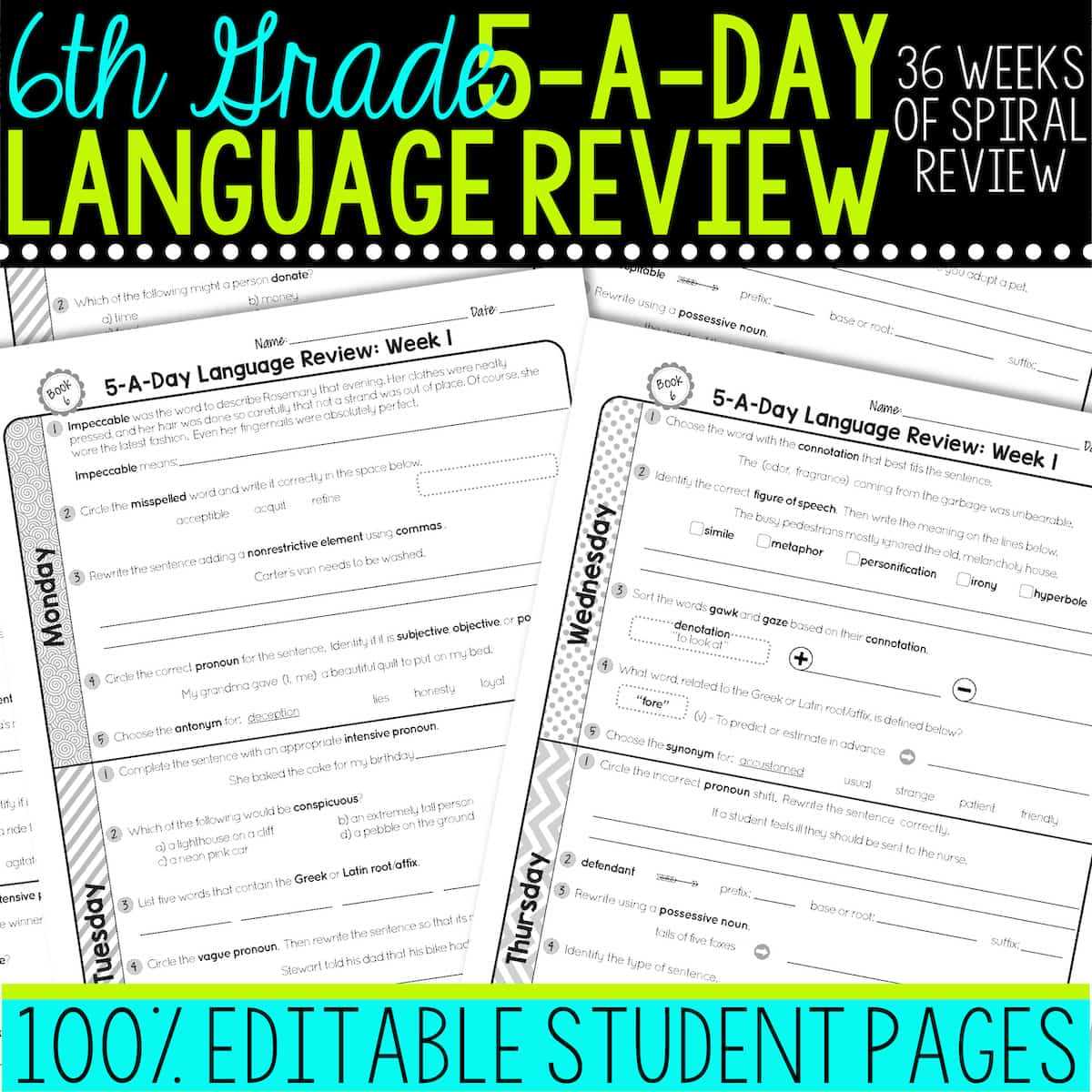 vague pronouns worksheet 6th grade answer key