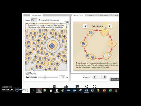 gizmo student exploration cell division answer key