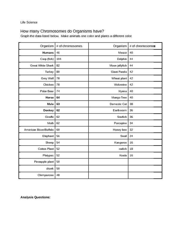 chromosome number worksheet answer key chromosome number worksheet answer key