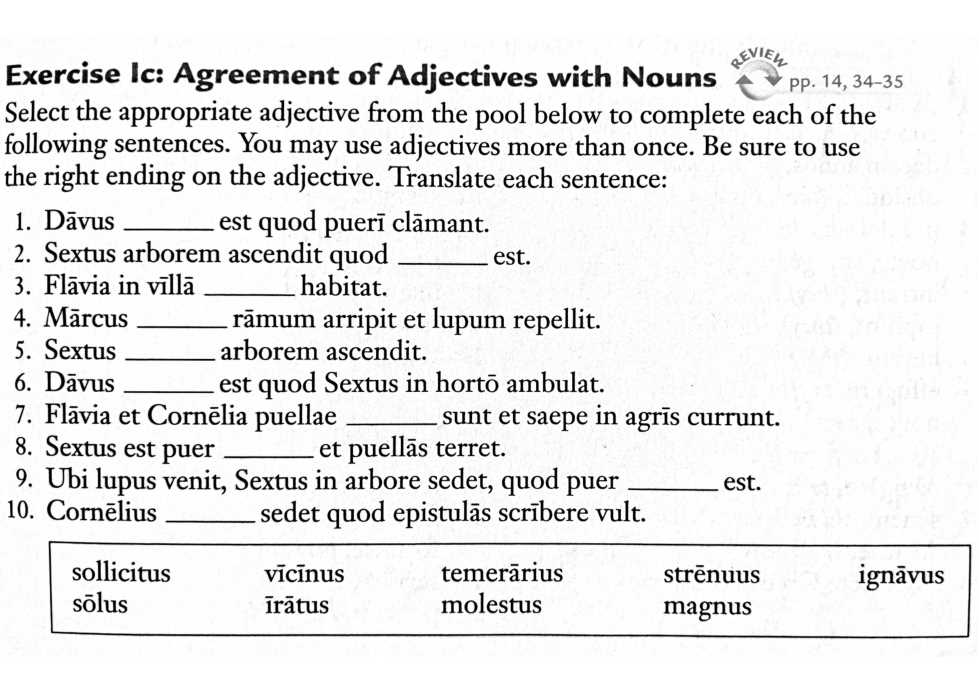 gramatica a noun adjective agreement answer key pg 30
