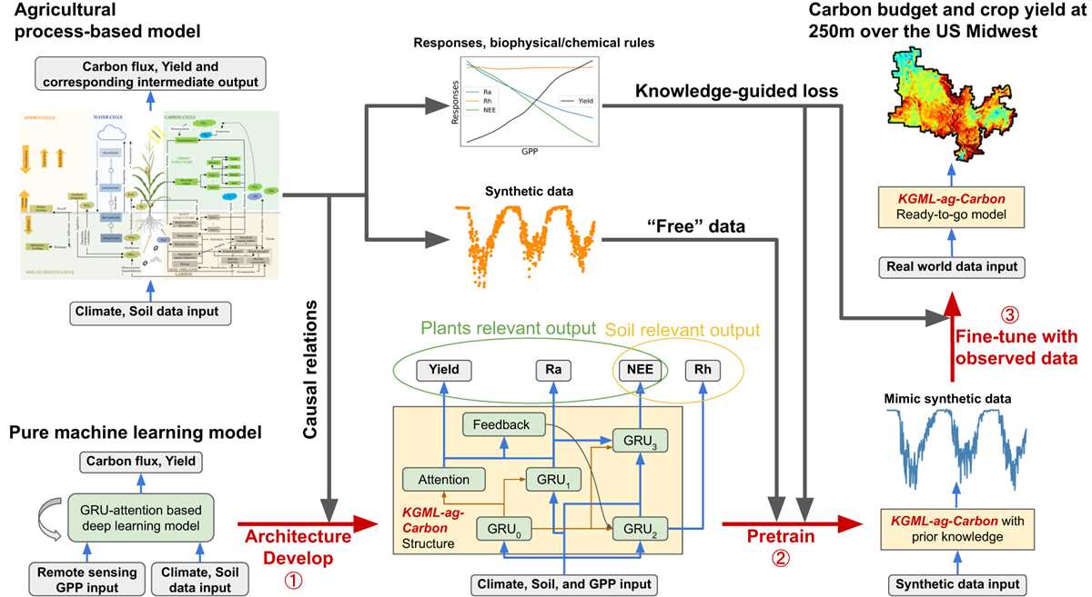 explore learning carbon cycle answer key