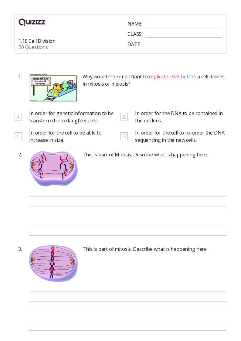 cell alive internet lesson answer key