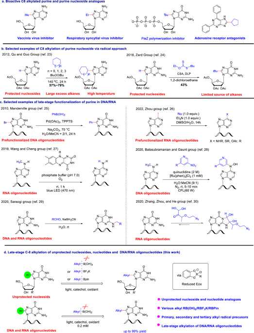 chapter 4 supplemental problems answer key chemistry chapter 4 supplemental problems answer key chemistry