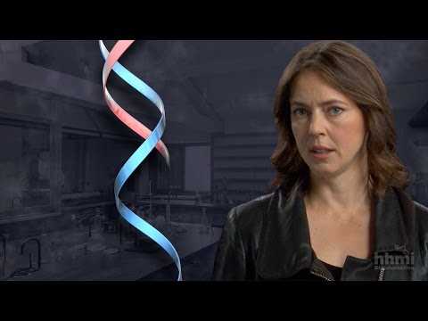 hhmi biointeractive the double helix answer key
