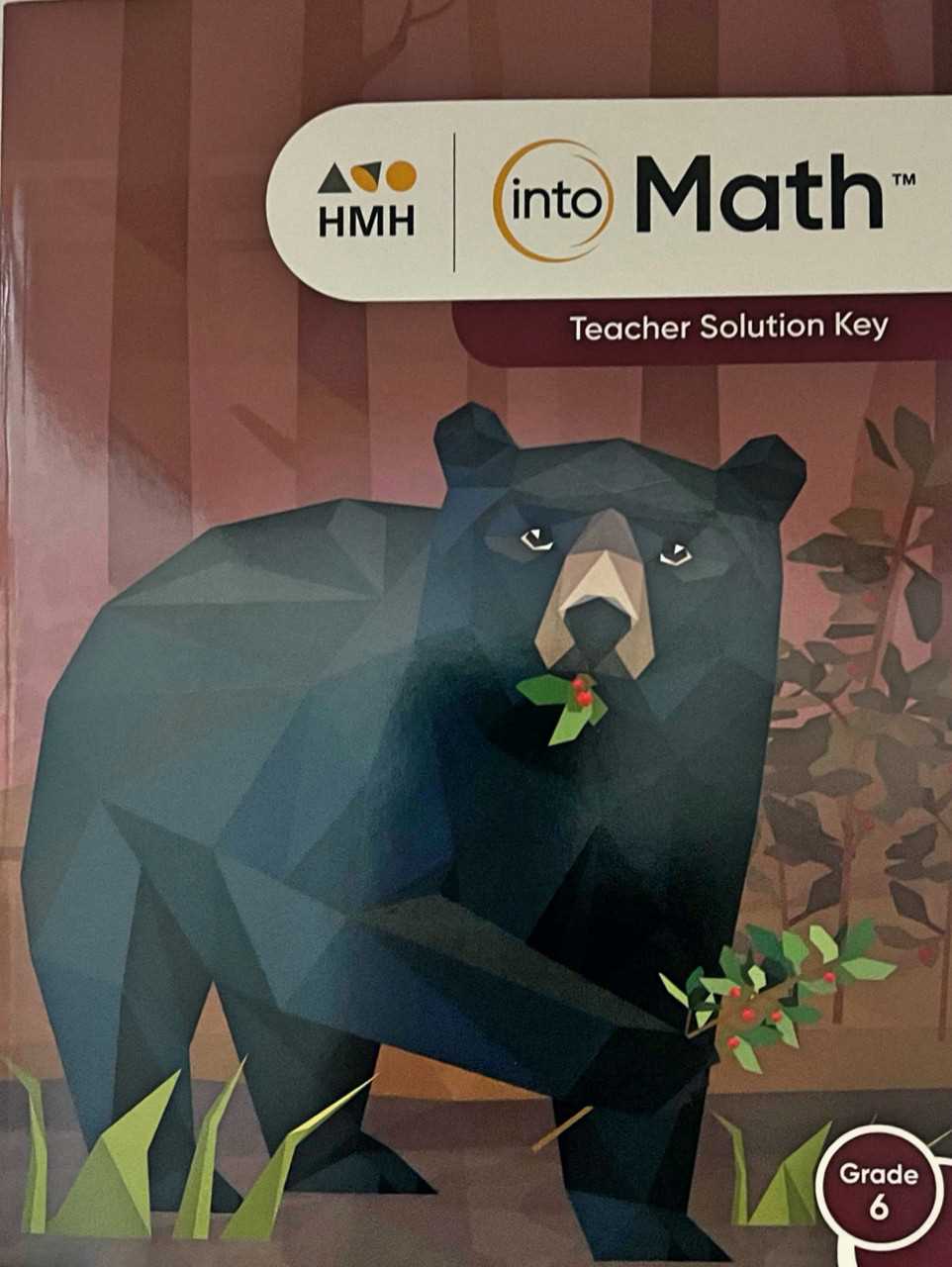 hmh into math 8th grade answer key