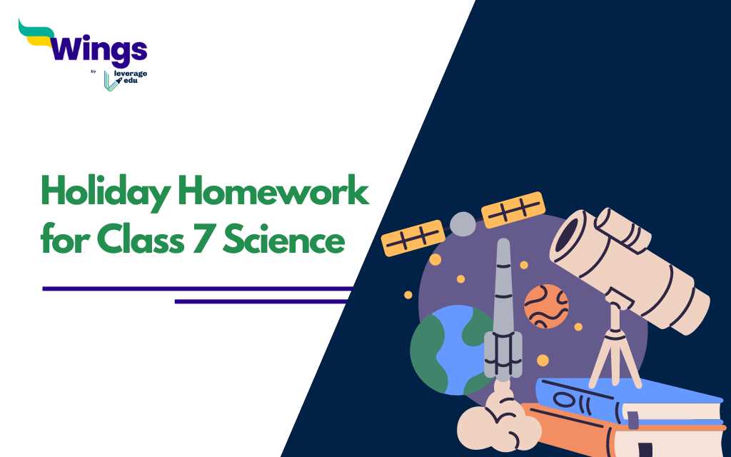 lesson 6 homework 4.6 answer key