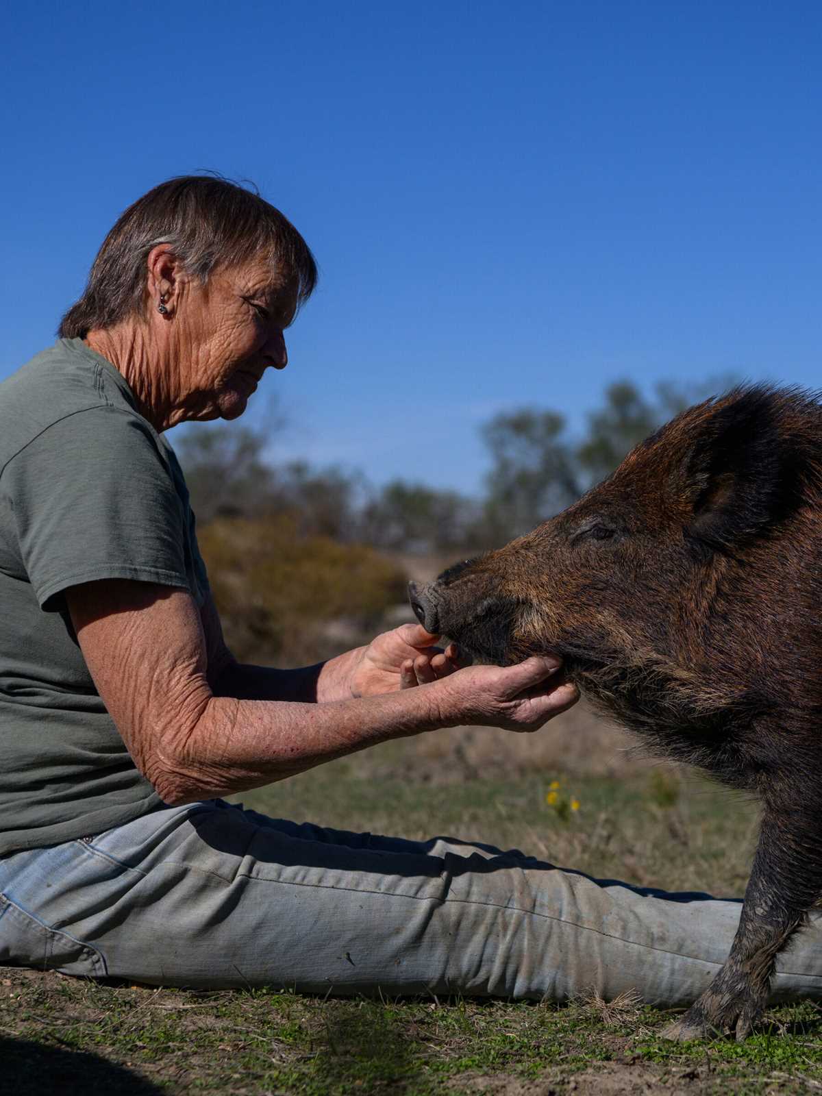 hog wild over video games answer key