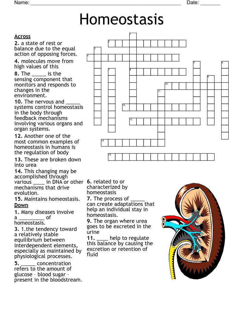 homeostasis worksheet pearland isd answer key