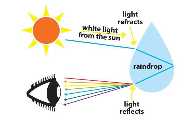 how the rainbow was made answer key