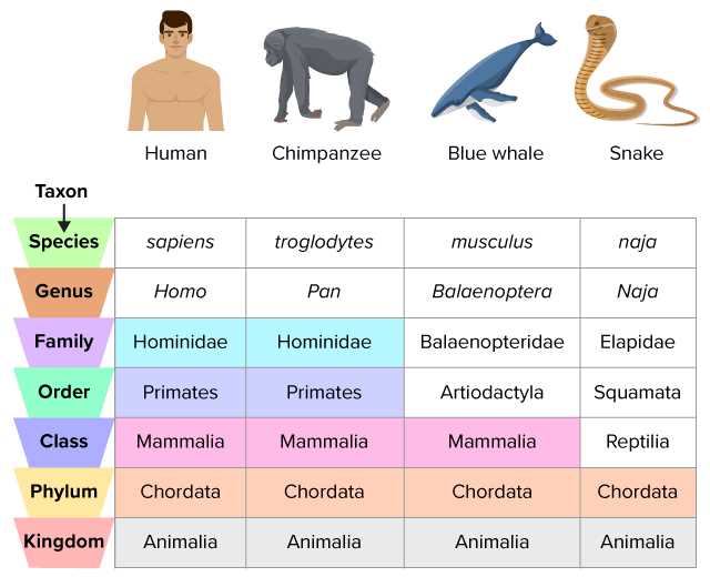 biology notes modern taxonomy answer key