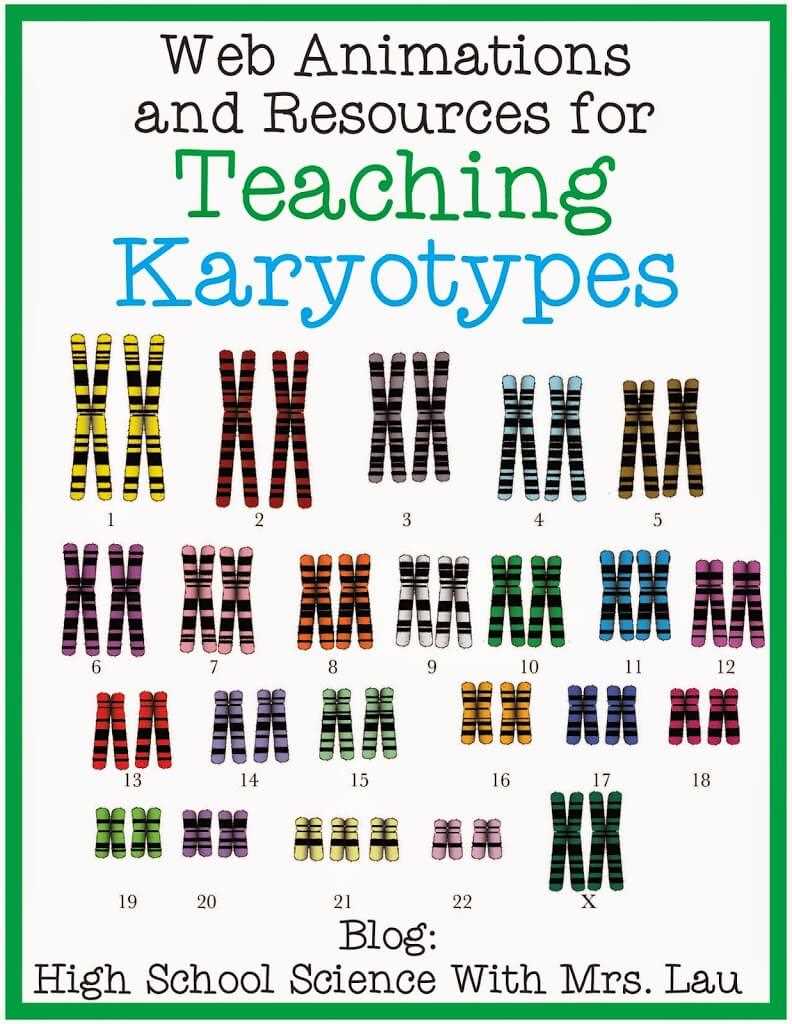 human karyotype lab answer key