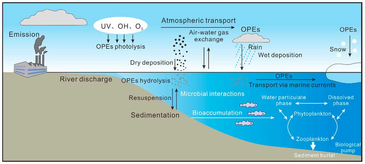 explore learning carbon cycle answer key