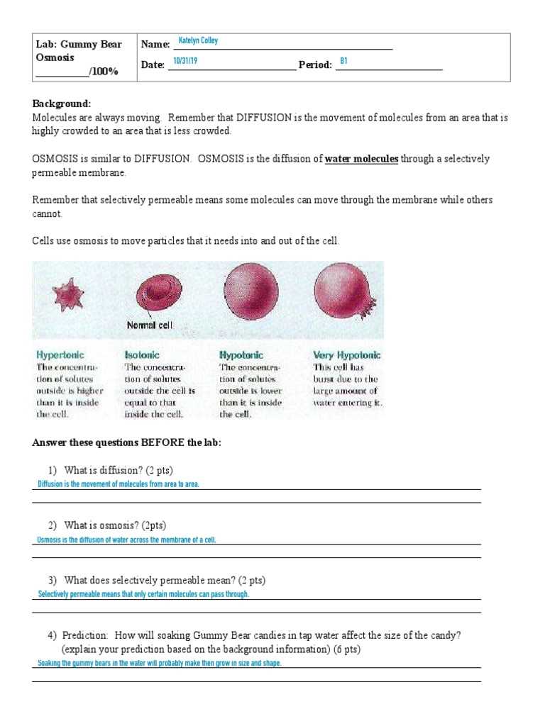 answer key gummy bear osmosis lab worksheet answers