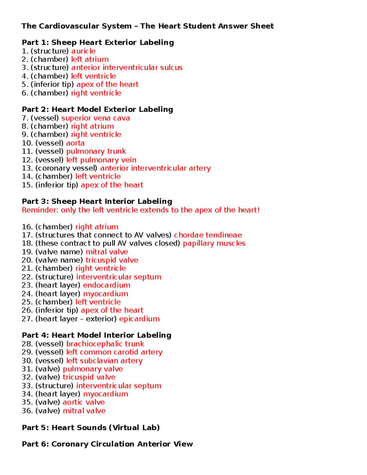 big heart foldable answer key