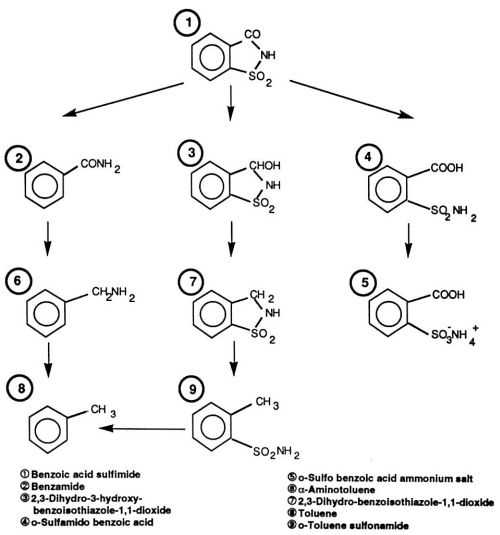 chemquest 21 trends in size answer key
