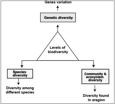 introduction to biodiversity which ecosystem is more diverse answer key