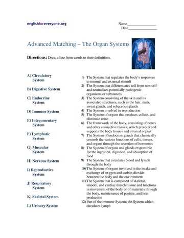video worksheet ultimate guide to the human body answer key video worksheet ultimate guide to the human body answer key