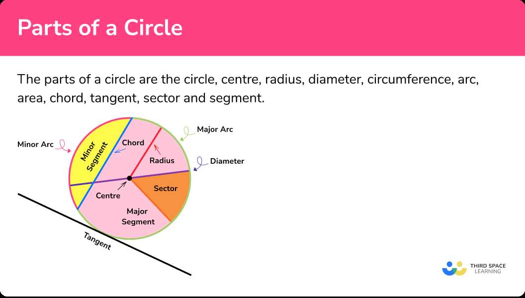 circles worksheet 3 answer key