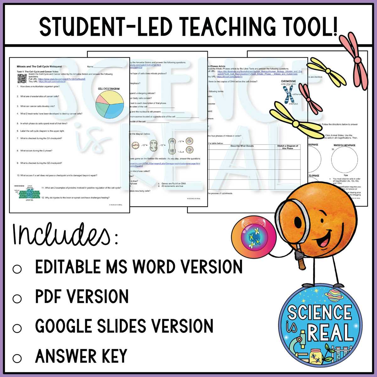 brain webquest answer key