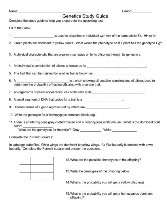 ixl gg 1 11th grade answer key