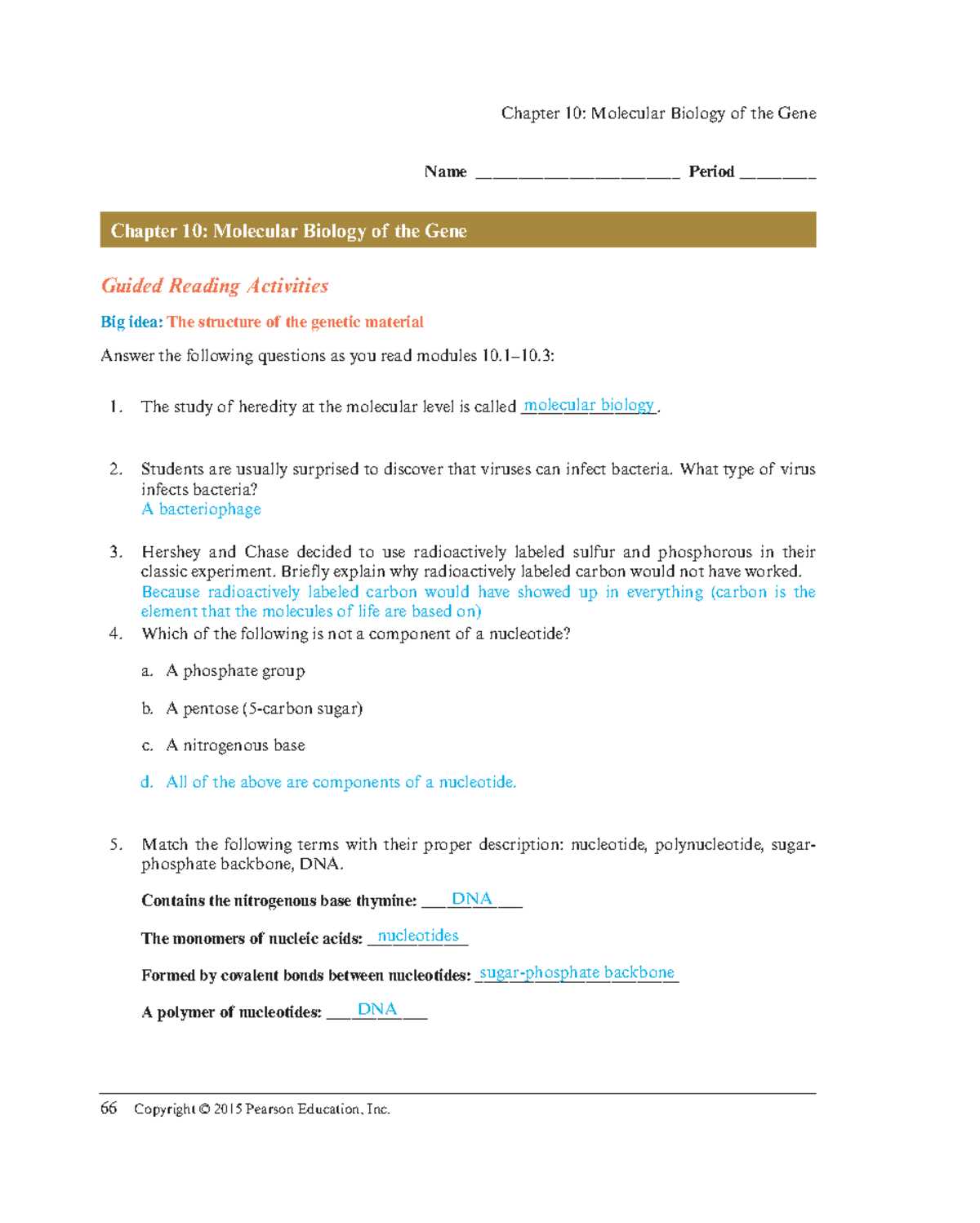 holt biology dna the genetic material directed reading answer key
