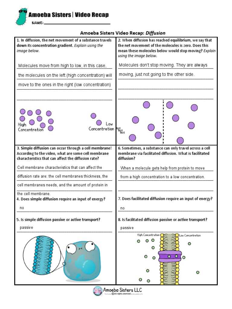 diffusion practice worksheet answer key