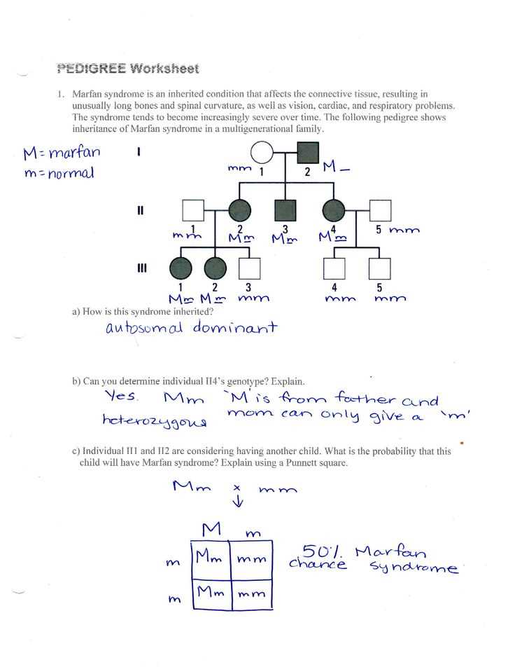 pedigree worksheet answer key