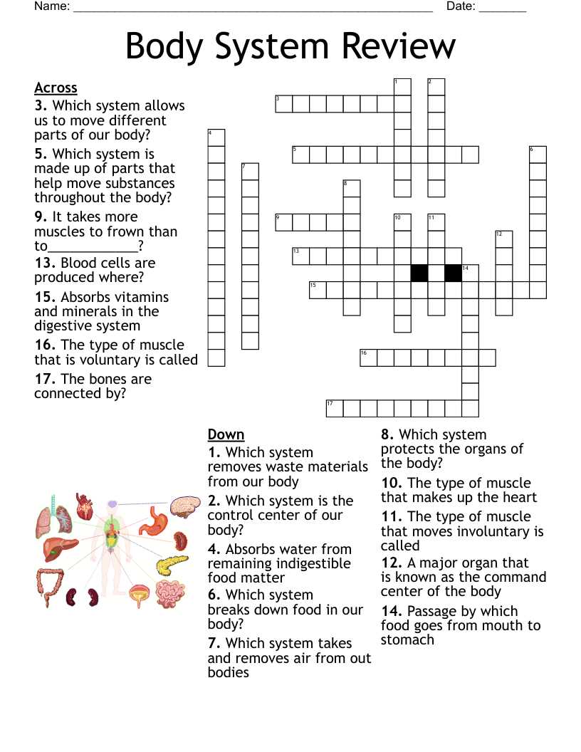 systems review answer key