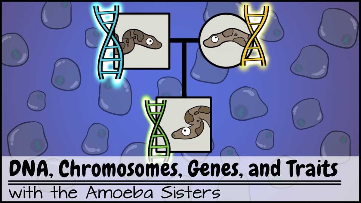 web surfing science answer key what is hereditary