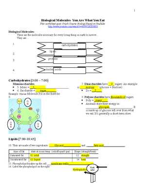 biology measurements lab answer key