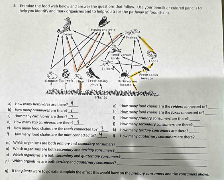 food web activity answer key food web activity answer key