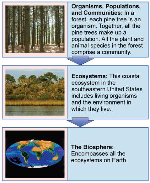 chapter 3 section 1 community ecology answer key