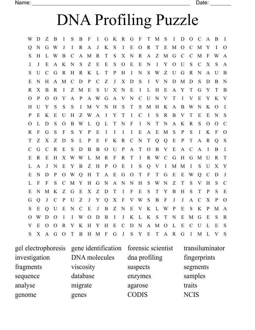 dna profiling answer key