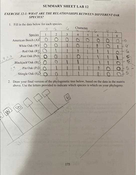 stations activity build a phylogenetic tree answer key stations activity build a phylogenetic tree answer key