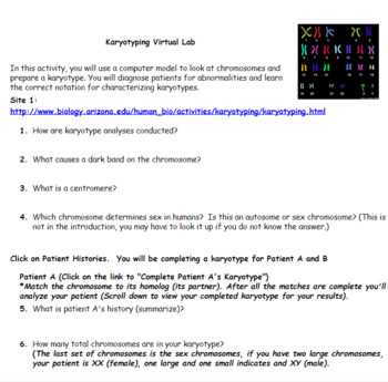 karyotyping practice answer key