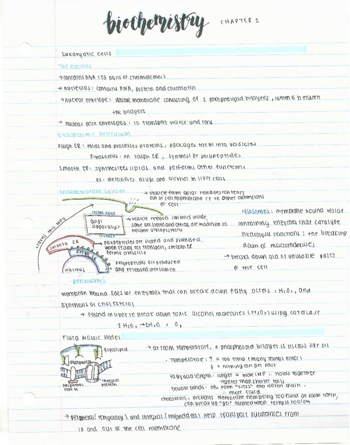 district fall ca biology 22 23 answer key