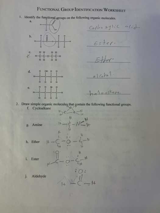 functional group identification worksheet answer key