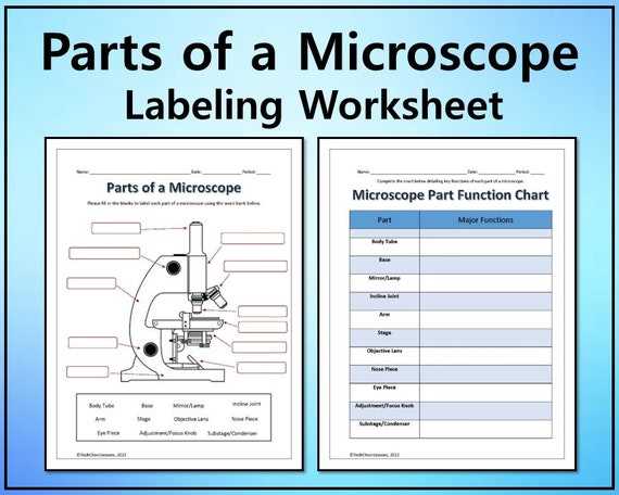 microscope labeling answer key