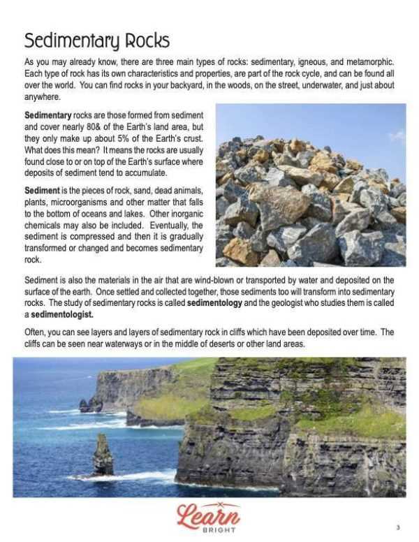 key concept builder lesson 3 sedimentary rocks answers