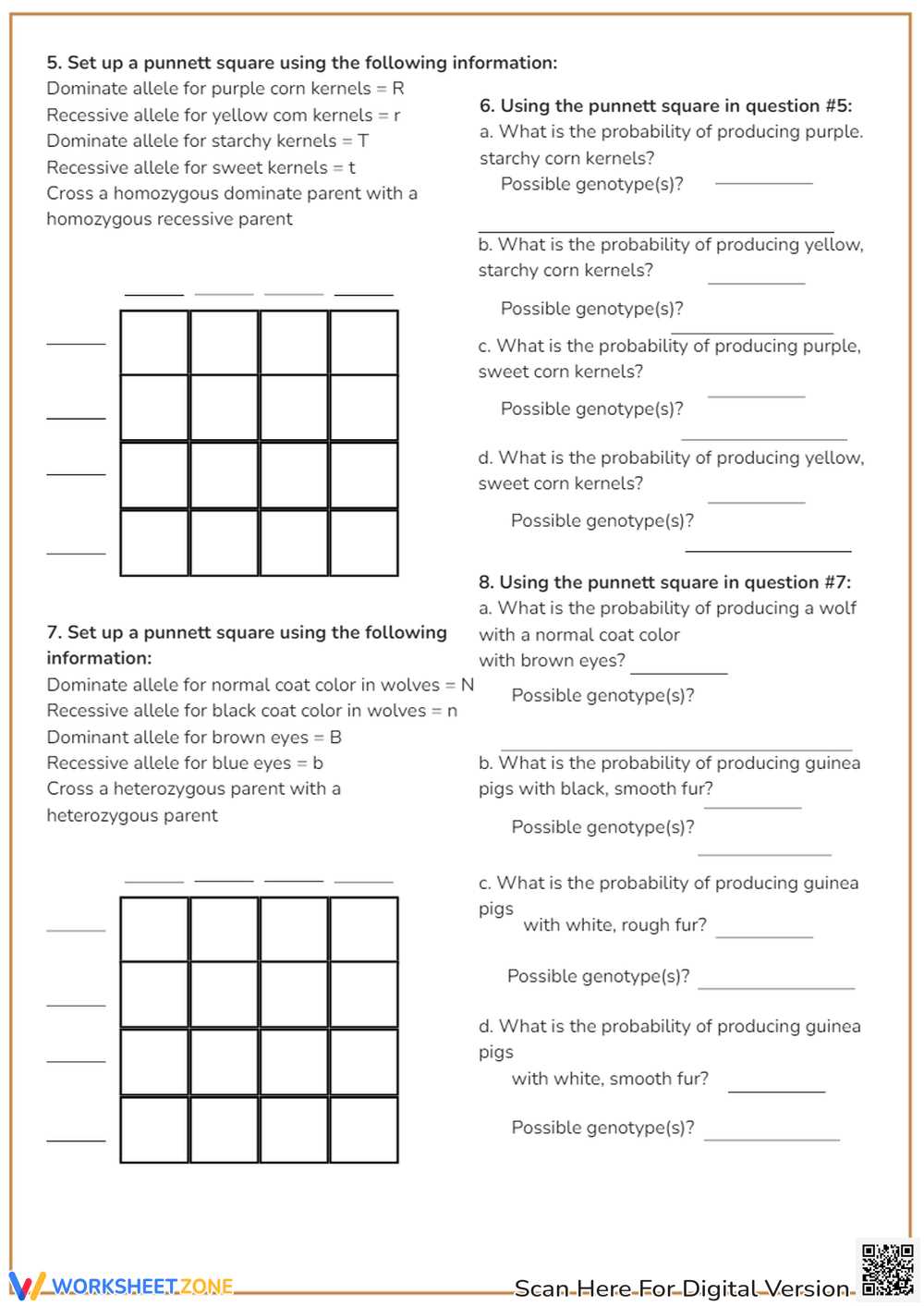 bikini bottom dihybrid answer key