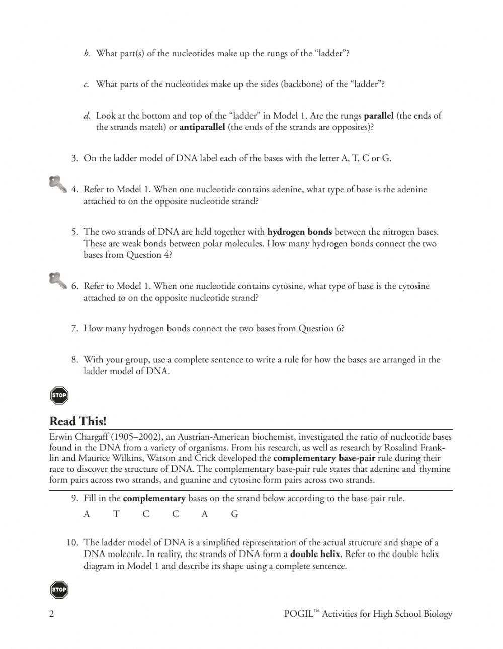 dna replication homework answer key