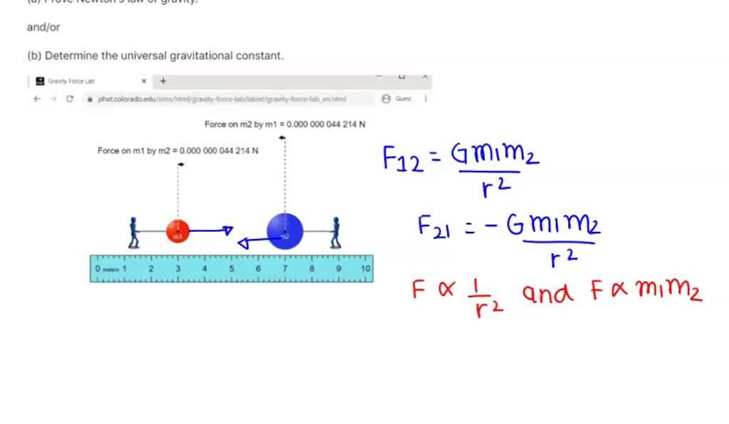 gravity force lab answer key
