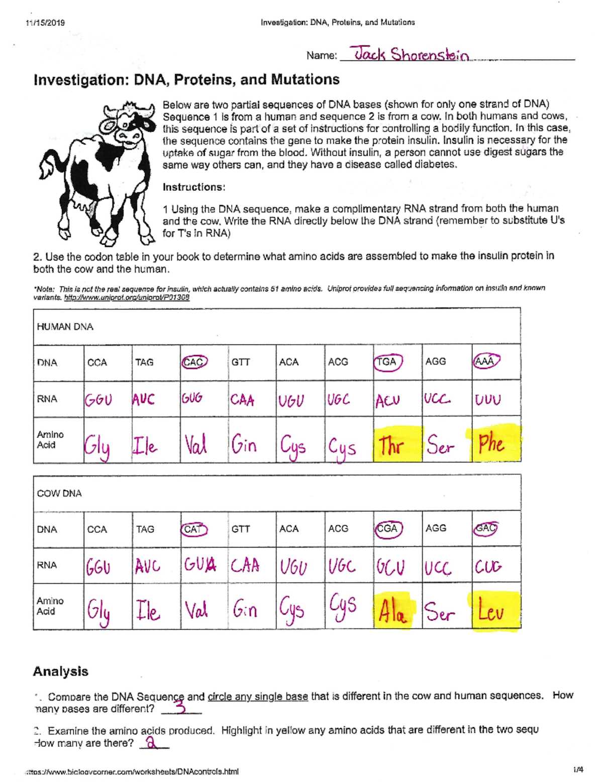 human inheritance worksheet answers key