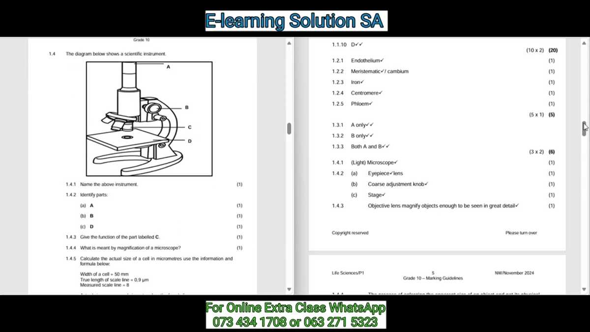 grade 10 science unit 4 answer key pre assessment