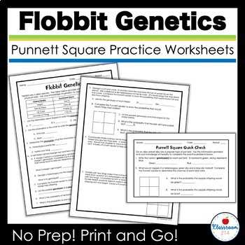 fundamentals of genetics skills worksheet answer key
